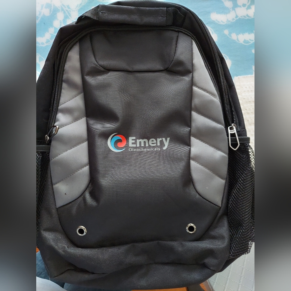 Leeds Backpack Smaller Size laptop tablet lunch